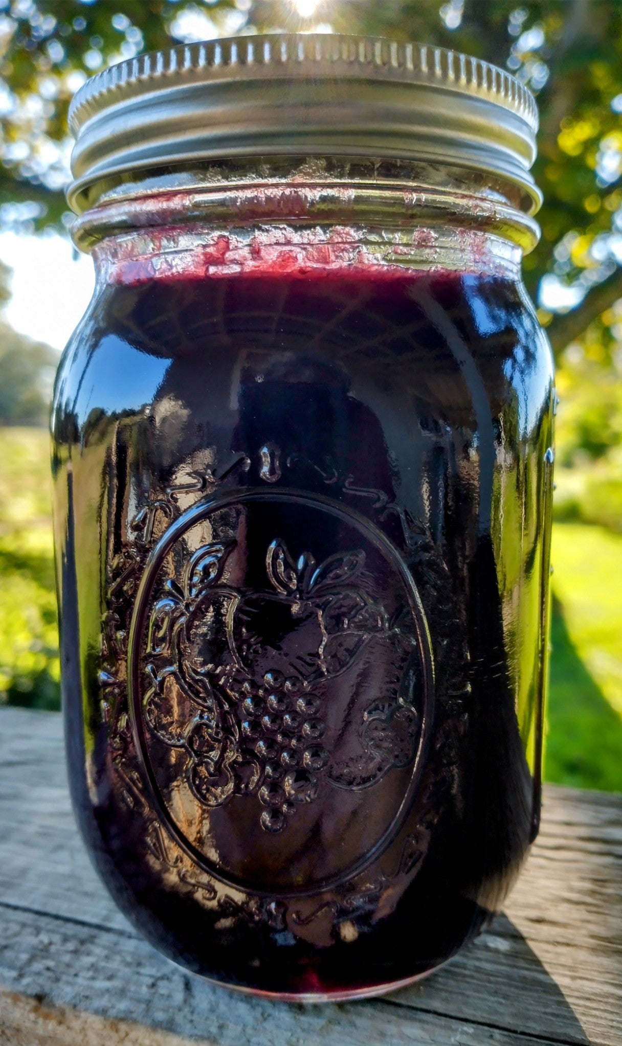 Kitchen Shenanigans - Jelly / Jam