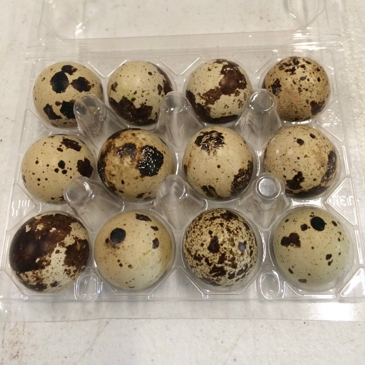 Quail Eggs