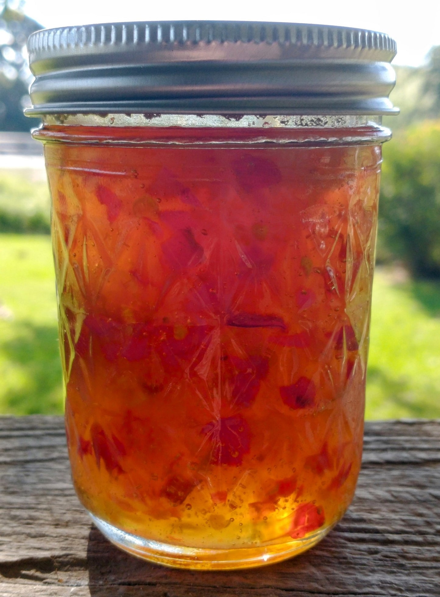 Kitchen Shenanigans - Jelly / Jam