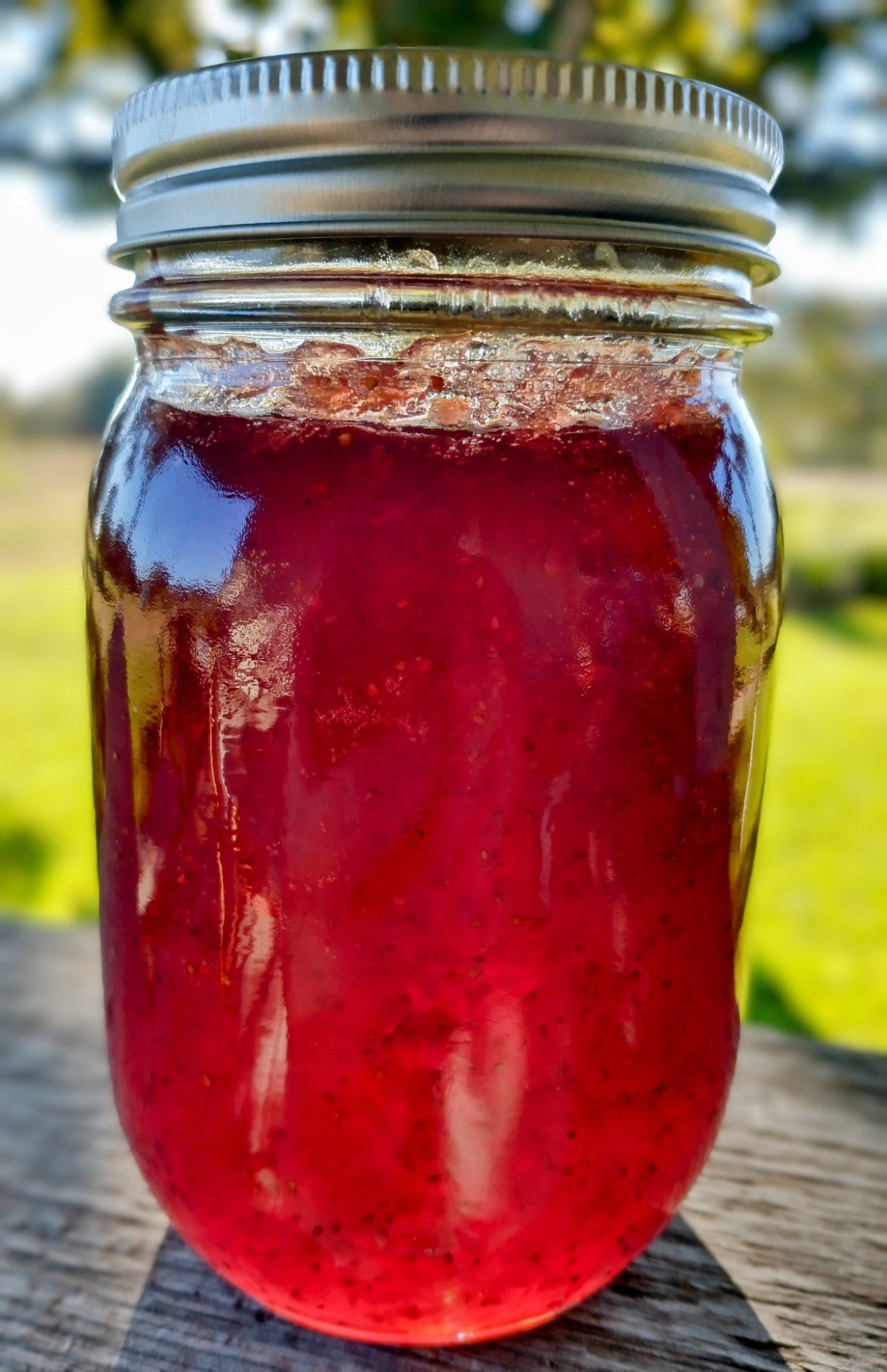 Kitchen Shenanigans - Jelly / Jam