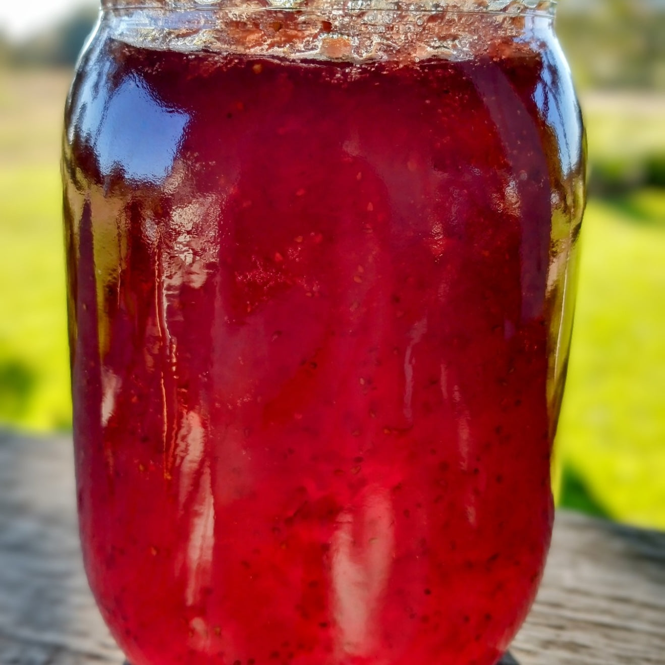 Kitchen Shenanigans - Jelly / Jam