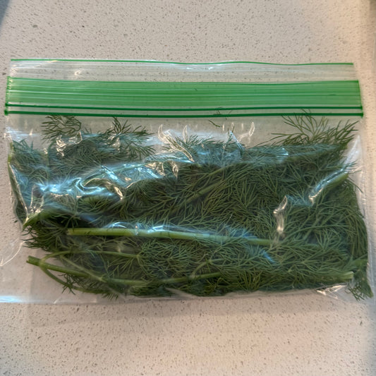 Fresh Dill for Pickling, Dressings or Cooking
