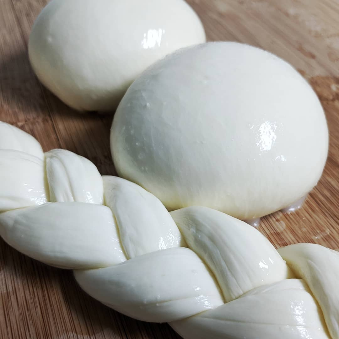 Mozzarella - One Milk Agent